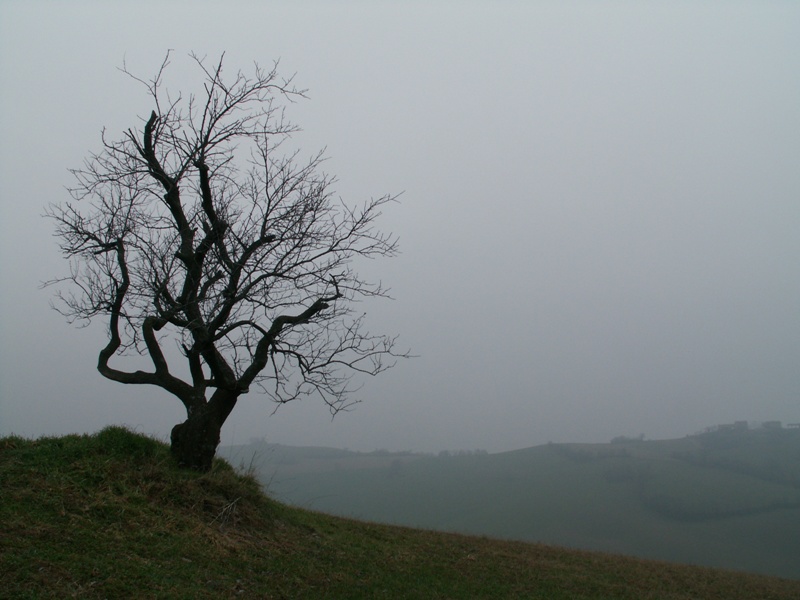 Variazioni (meteo) sul tema